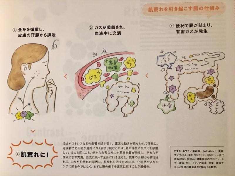 腸の仕組みを知って美肌を手に入れる！