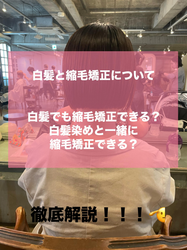 【白髪が気になっている方必見！】白髪と縮毛矯正について【鹿児島美容室】