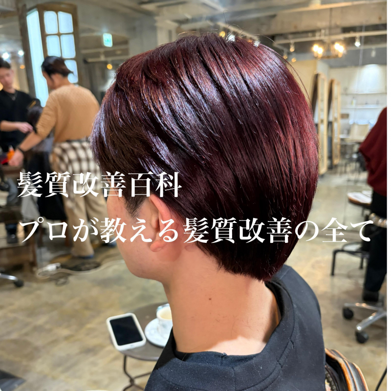 髪質改善百科　鹿児島美容室サンティエ