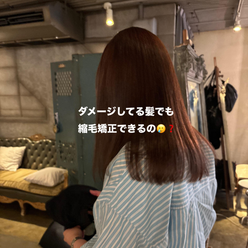 ダメージしてる髪でも縮毛矯正できるの？？【鹿児島美容室scintiller都通店】｜美容院の最新記事