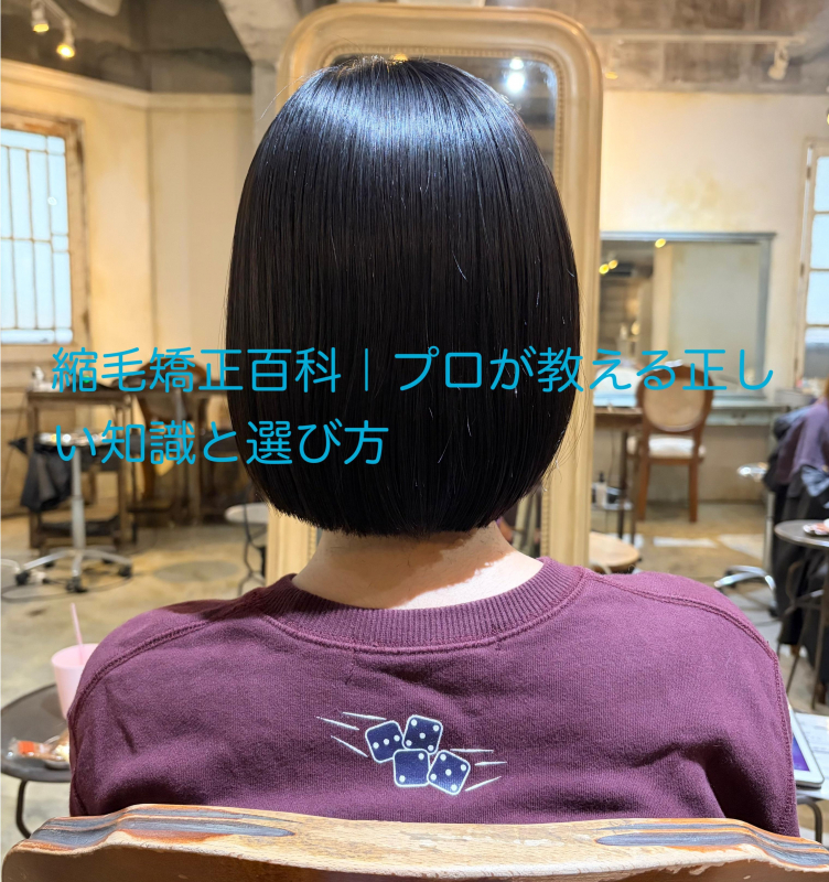 縮毛矯正百科 プロが教える正しい知識と選び方 鹿児島美容室サンティエ